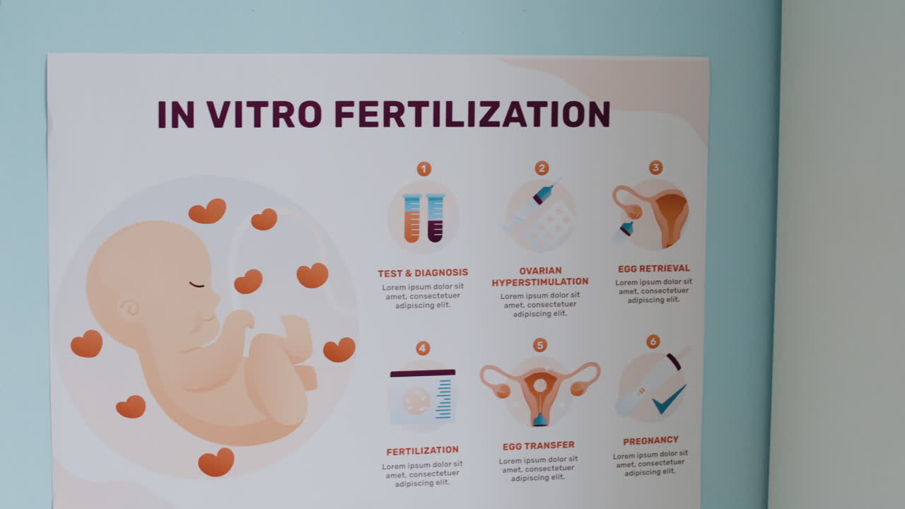 IVF Diagram on Shelves