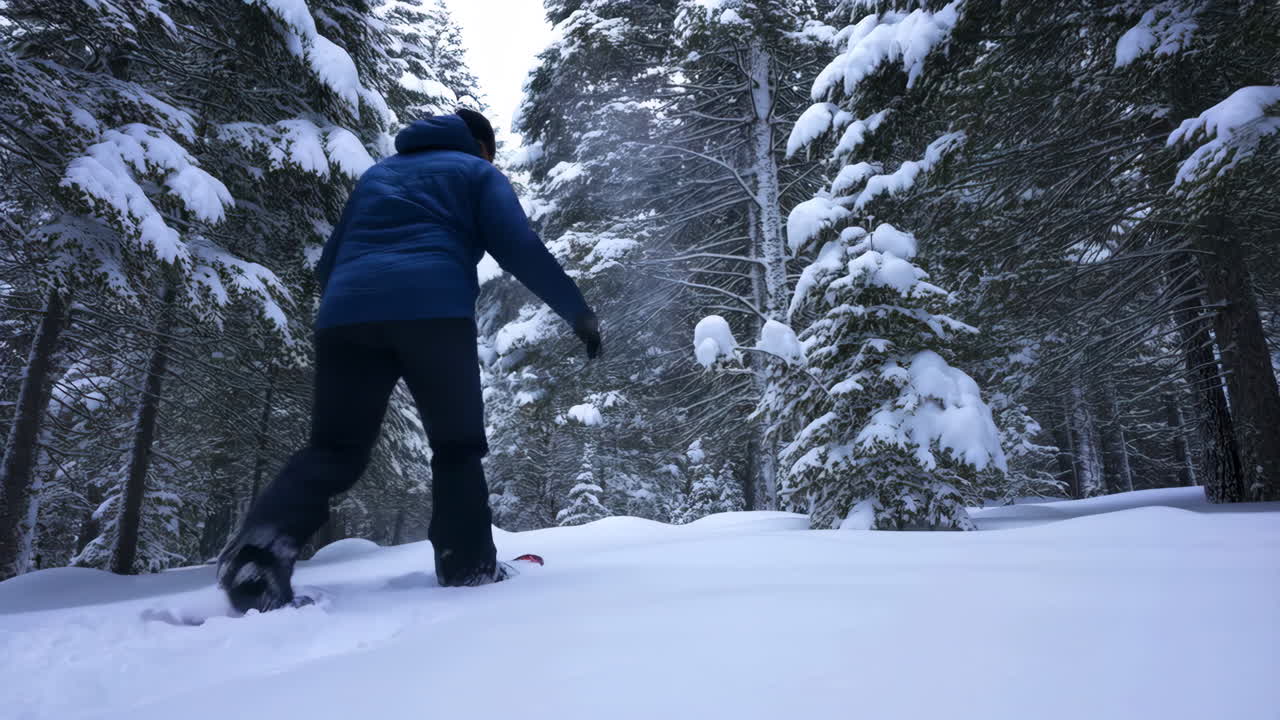 Person Snowshoeing Through a Snow-Covered Winter Forest