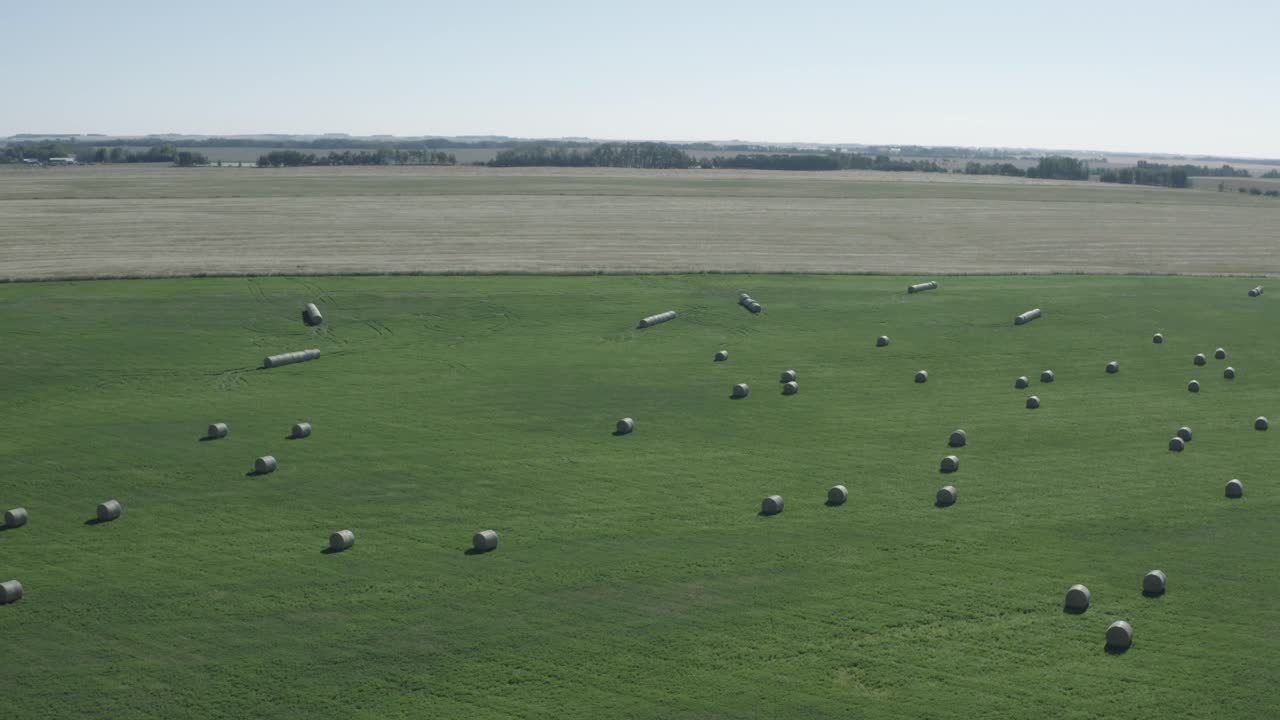 aerial fly over lush green pasture with circular hay bails arranged semi symetrical over a fish eye global horizontal horizon with clear blue skys at twilight