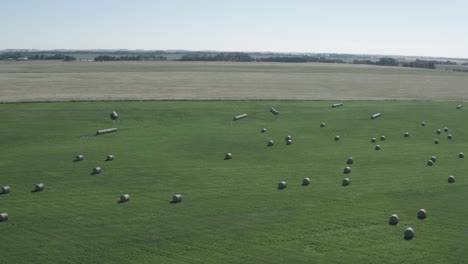 aerial fly over lush green pasture with circular hay bails arranged semi symetrical over a fish eye global horizontal horizon with clear blue skys at twilight