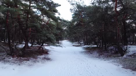 Vista-Aérea-A-Través-De-La-Entrada-Del-Camino-Forestal-Cubierta-De-Nieve,-Paisaje-Invernal