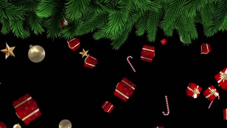 Animation-of-multiple-presents-and-baubles-falling-with-fir-tree-branch-on-black-background