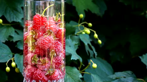 cinemagraph of red raspberries in glass with water