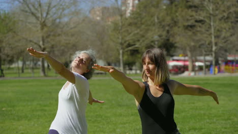 two women practicing yoga in sunny summer park.