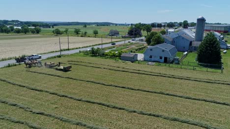 an aerial view of an amish farmers with five horses harvesting his crops and loading them on to a cart looking over the countryside on a beautiful day