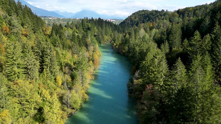 Rivière forestière dans un paysage naturel époustouflant à Radovljica, Slovénie - Vol de drone aérien