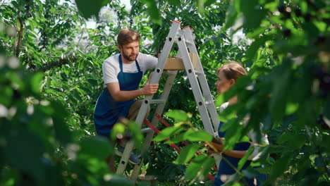 equipo de especialistas agrícolas discutiendo el nivel de producción en un impresionante jardín verde