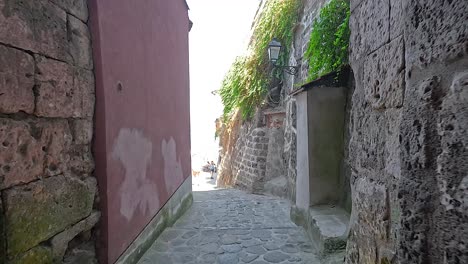 stone pathway leading to a beach