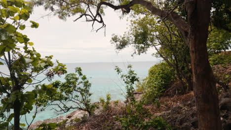 Cinematic-slow-motion-shot-moving-through-trees-revealing-a-beautiful-view-of-the-ocean-in-the-Philippines,-Asia,-Slomo