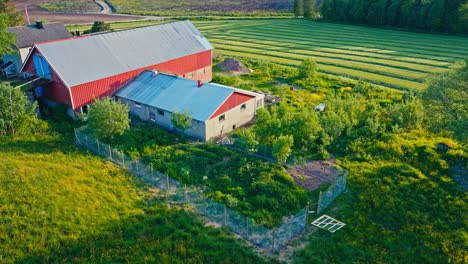 aerial view of farmhouse surrounded with green fields in norway - drone shot