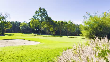 Lush green fairway with sand bunkers and trees