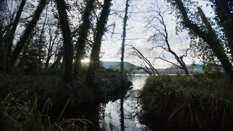 dark trees and foliage landscape in foreground by small narrow estuary with mountain range and lake in background, handheld pan