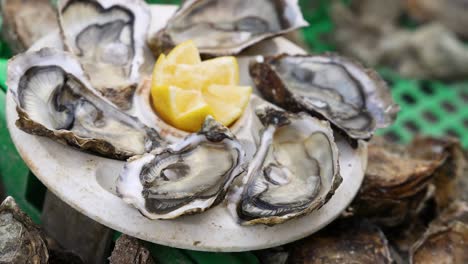 fresh oysters displayed with lemon slices