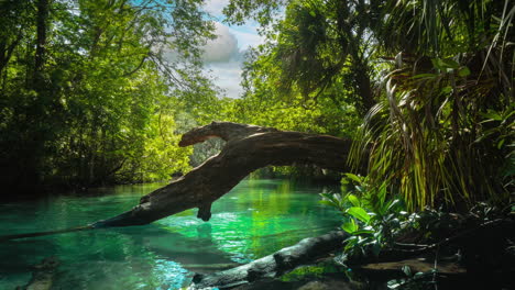 Río-Del-Parque-Estatal-Weeki-Wachee-Springs-En-Florida