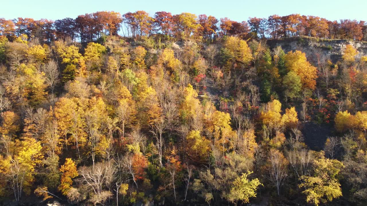 avión no tripulado volando sobre el agua, árboles y una hermosa casa - vista de arriba hacia abajo