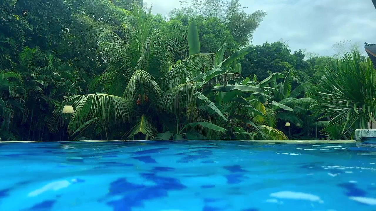 Superficie dell'acqua calma di una piscina circondata da lussureggiante vegetazione tropicale