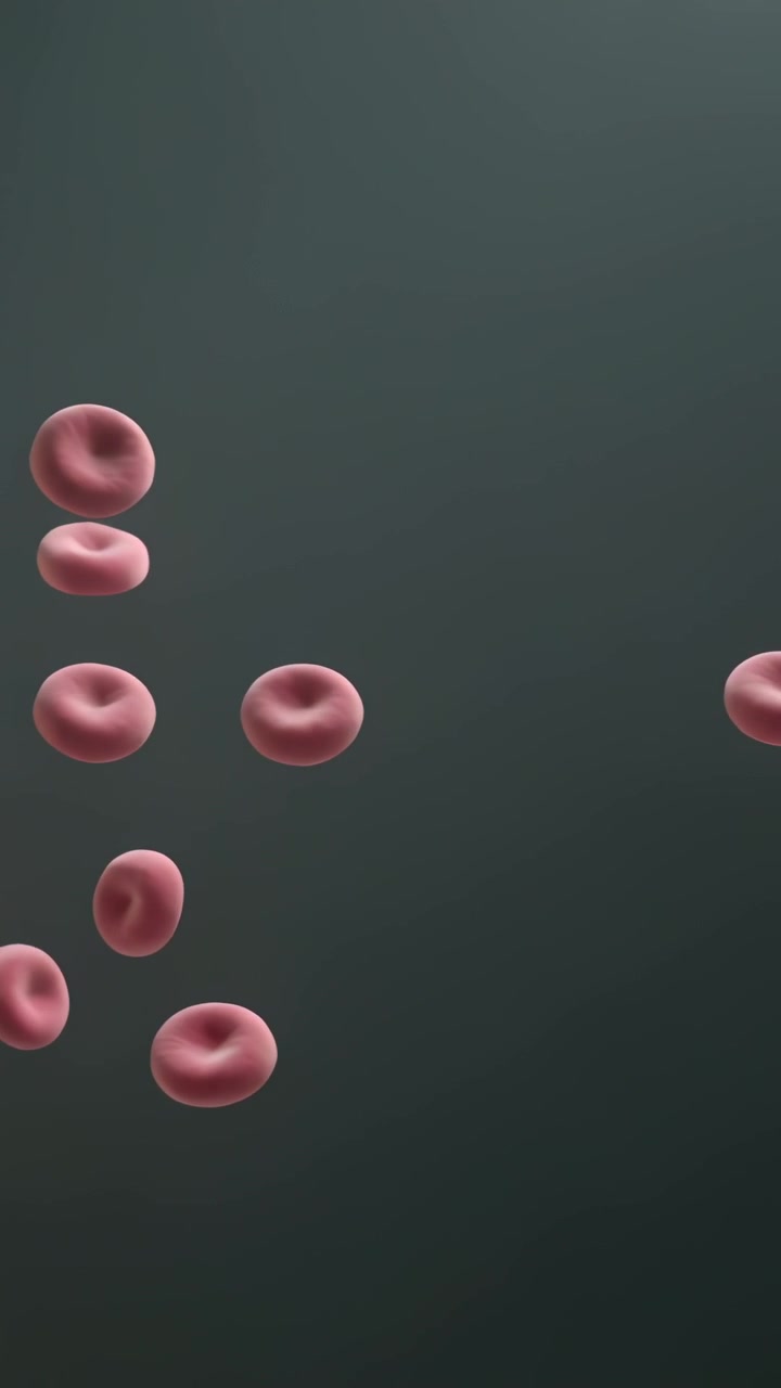 Vertical video: Starting flow under microscope, pushing red cells toward center and forming cluster