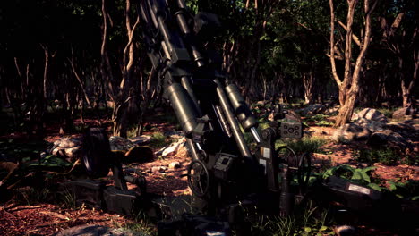 big gun cannon in the forest