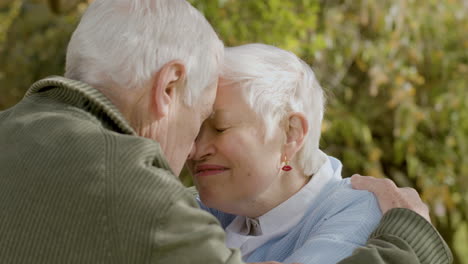 una pareja romántica de ancianos besándose y frotándose la nariz mientras pasaban tiempo en el parque el soleado día de otoño 1