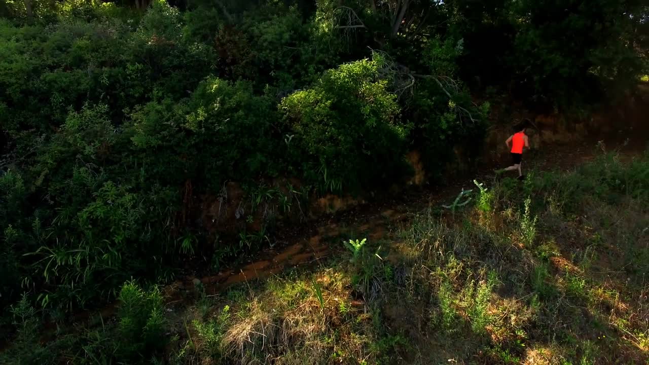 숲길에서 조하는 남자