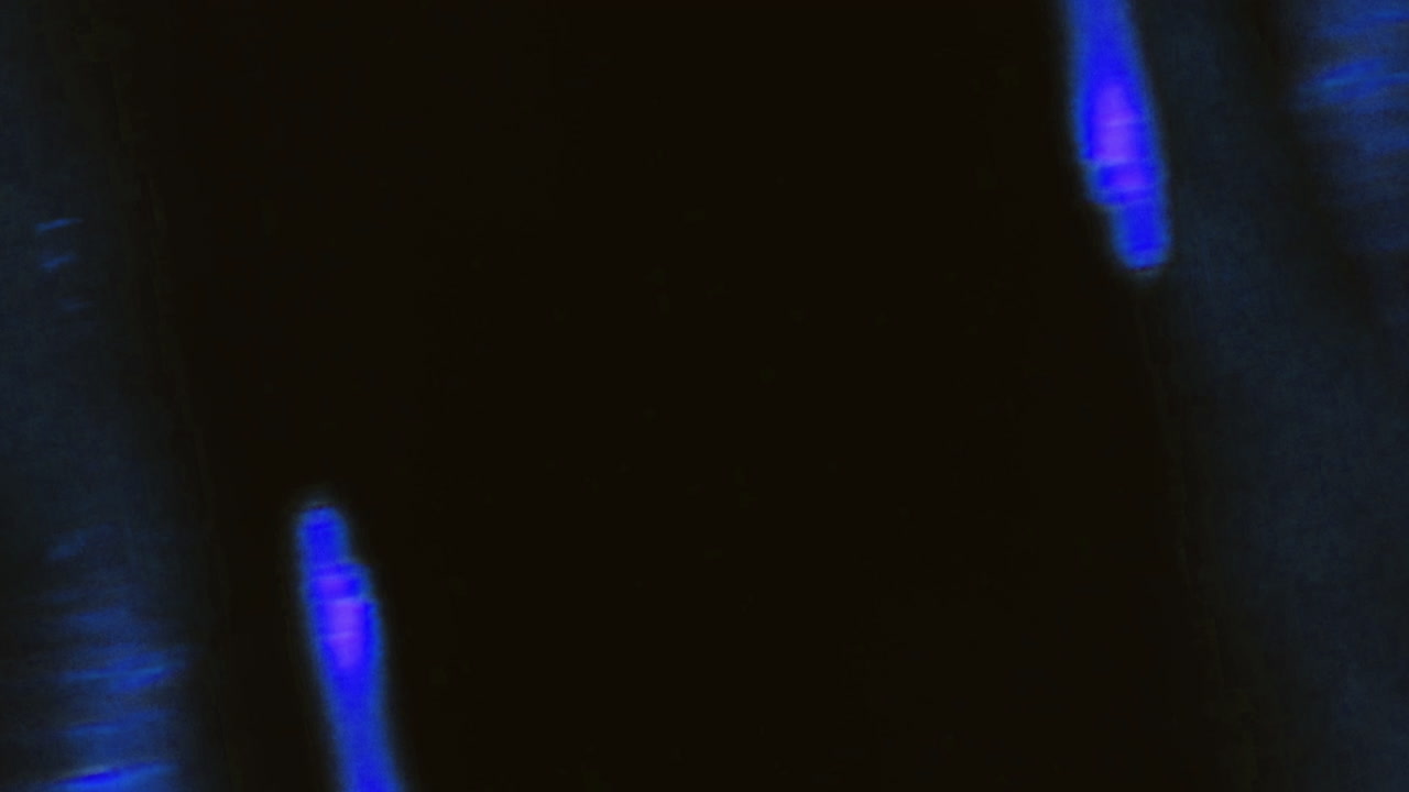 Abstract Blue and Purple Light Streaks and Patterns