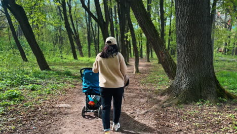 following the mother with a pram. woman turns back to the camera. mom and child go for a walk by the park.