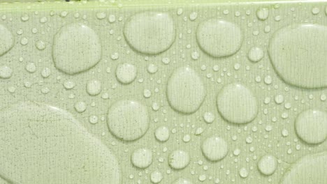 water droplets on a light green surface