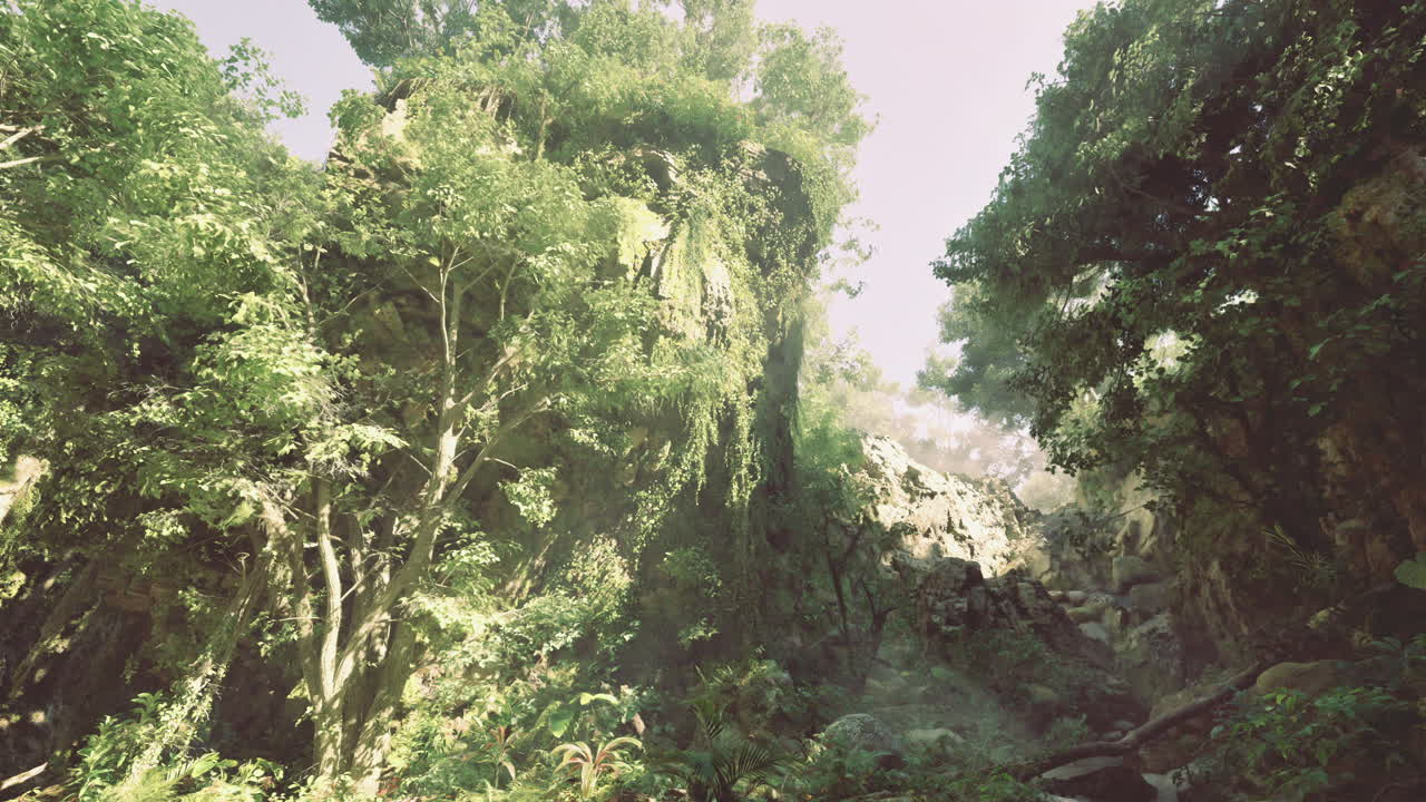 Tropical landscape with dense foliage and towering rocks in sunlight