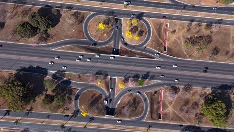 hyper lapse of yellow ipe trees on the streets of brasilia - brazil