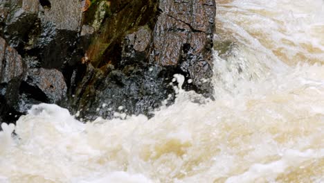 fresh water flowing in brazil is a precious resource due to drought