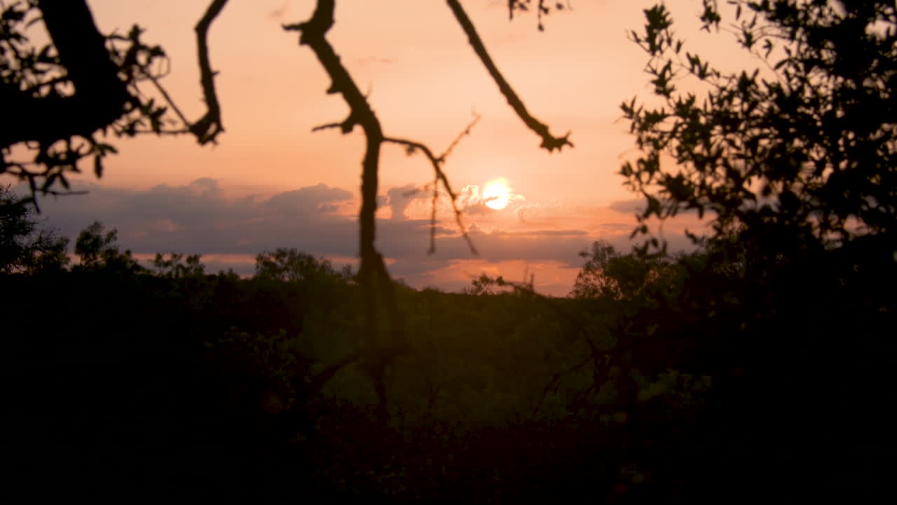 텍사스 오렌지 선셋 와이드 샷