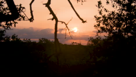 texas orange sunset wide shot