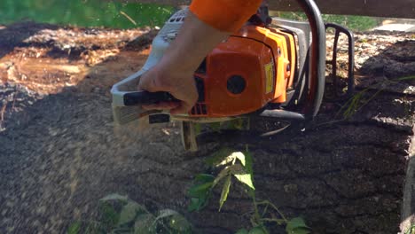 panning-slow-motion-shot-of-a-man-holding-a-chainsaw-while-milling-a-pine-log-on-a-sunny-day