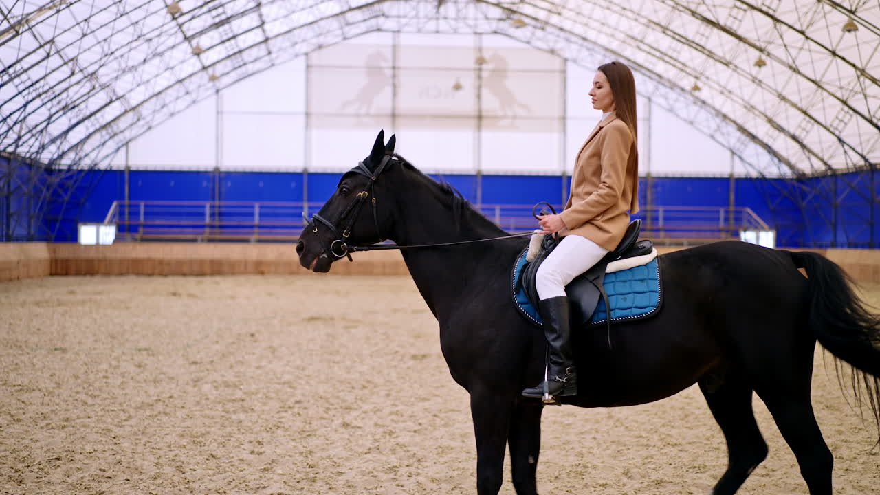 Beautiful Caucasian long-haired woman riding wonderful black horse at manege. Lady stops the horse in front of camera.