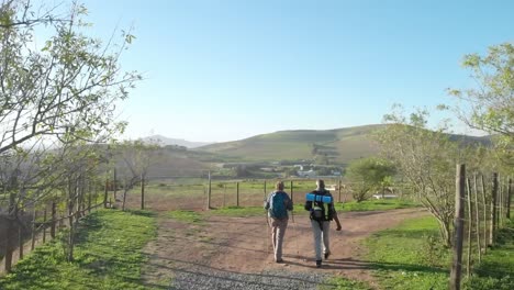 pareja de ancianos afroamericanos con mochilas caminando en la naturaleza soleada con espacio de copia, cámara lenta