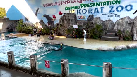 presentación de animales en el zoológico de korat