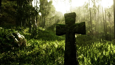 stone cross in a lush jungle forest