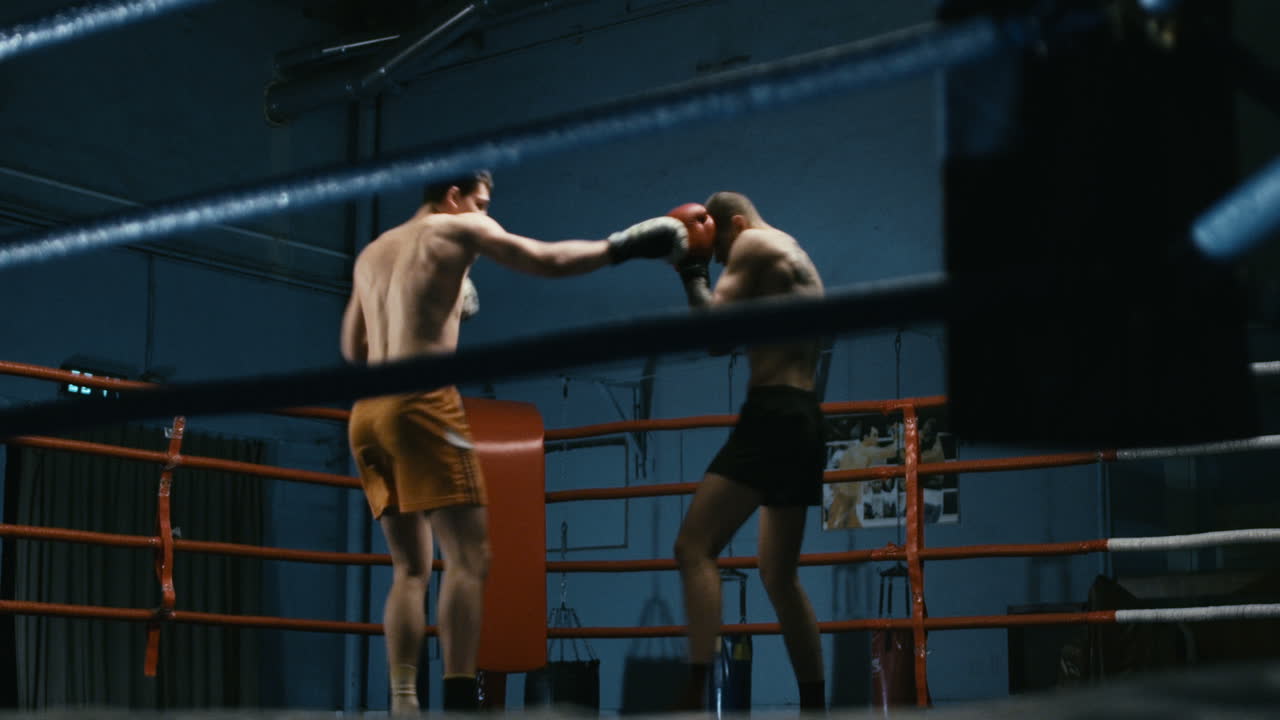 Boxing or Kickboxing Training Session