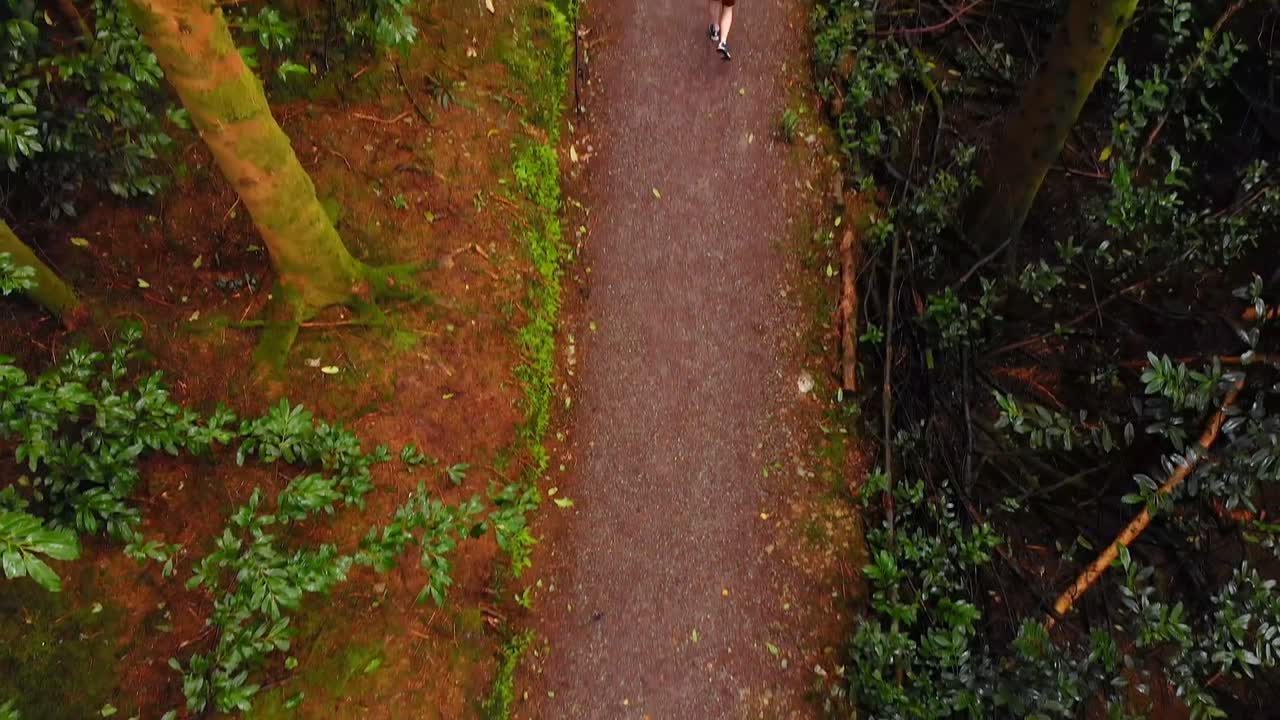 숲 속 의 길 에서 조 ⁇  하는 사람 4k