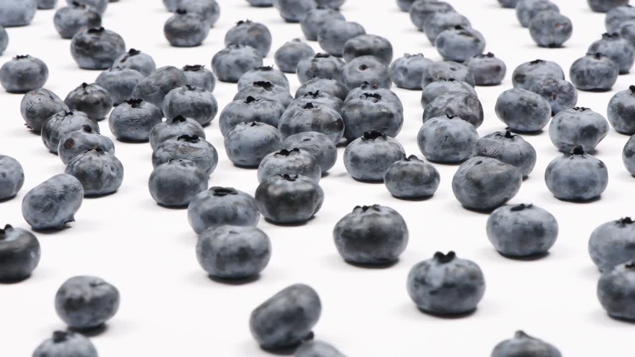 색 배경에 많은 블루베리. 면 뷰. 루프 모션. 회전 360.