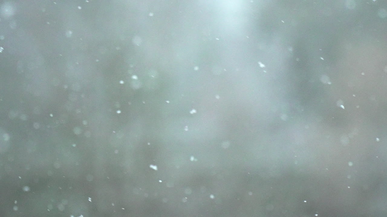 movimiento lento de los copos de nieve que caen en el viento