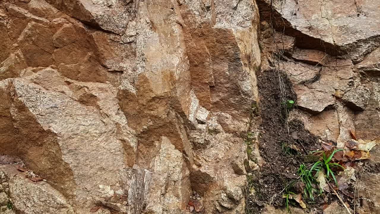 paneo a la izquierda de la hermosa pared de roca dorada brillante