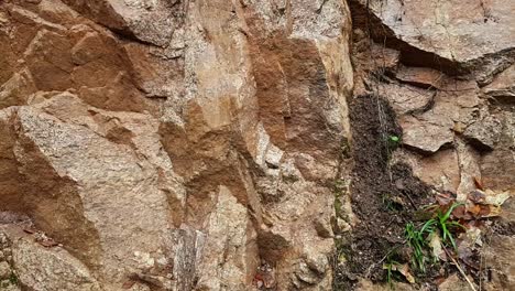 Panning-left-of-beautiful-shiny-golden-rock-wall