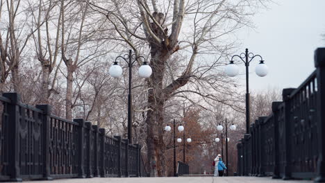 elevated pedestrian bridge with black iron railings and double white lampposts lined along walkway in quiet winter park as bundled children play and explore under tall bare trees in soft daylight