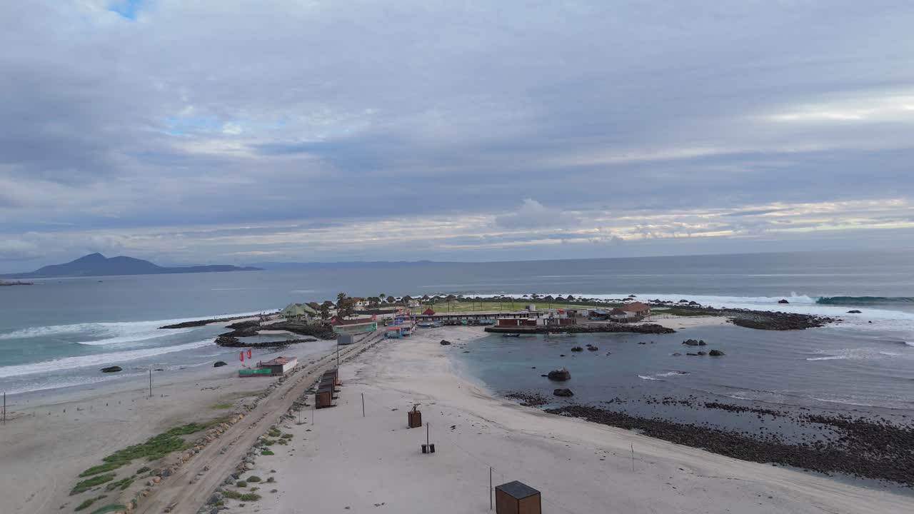 Marine Life Near Totoralillo Beach, Coquimbo Region, Chile