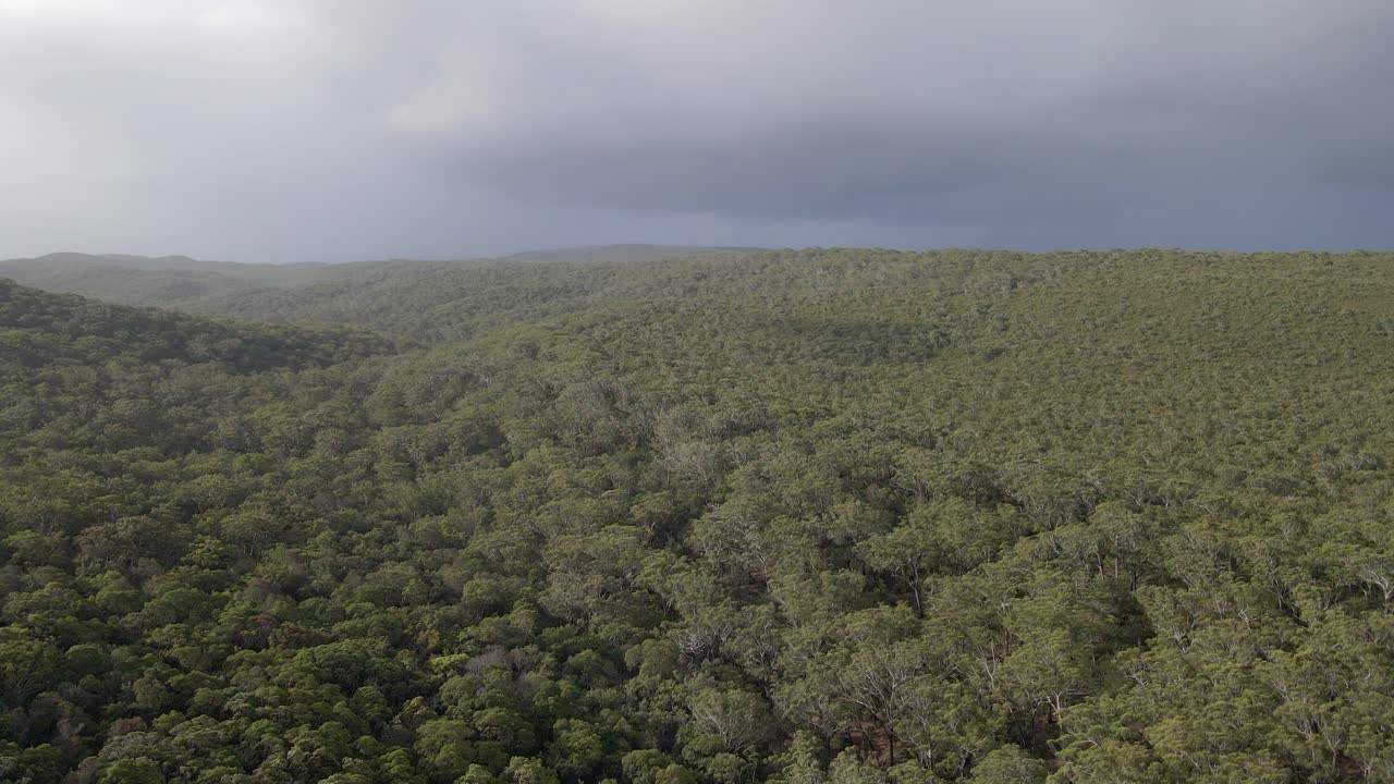 bosque denso y exuberantes colinas en north stradbroke island, queensland, australia - toma aérea de drones