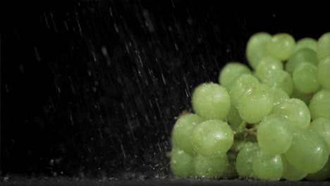 raindrops in super slow motion falling on grapes