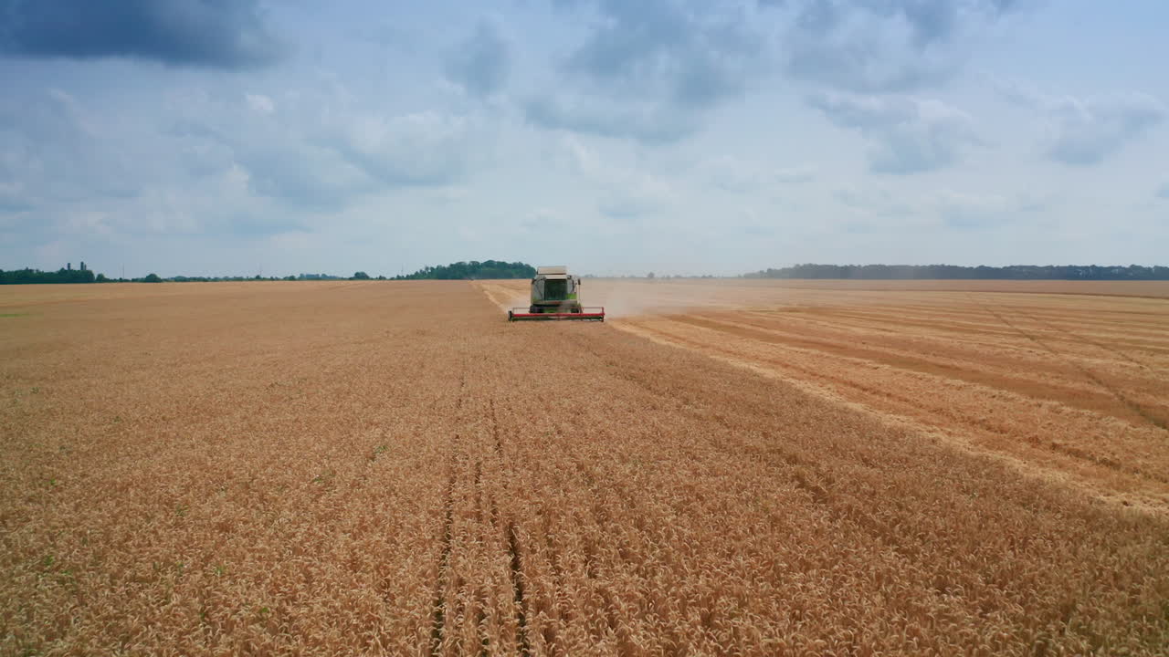 cosechadora combinada trabajando en un campo de trigo