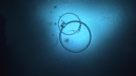 camera films a rising bubble ring from below as it descends to the surface