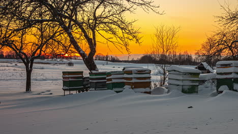 beehives in snow during winter season with golden sun setting down in background